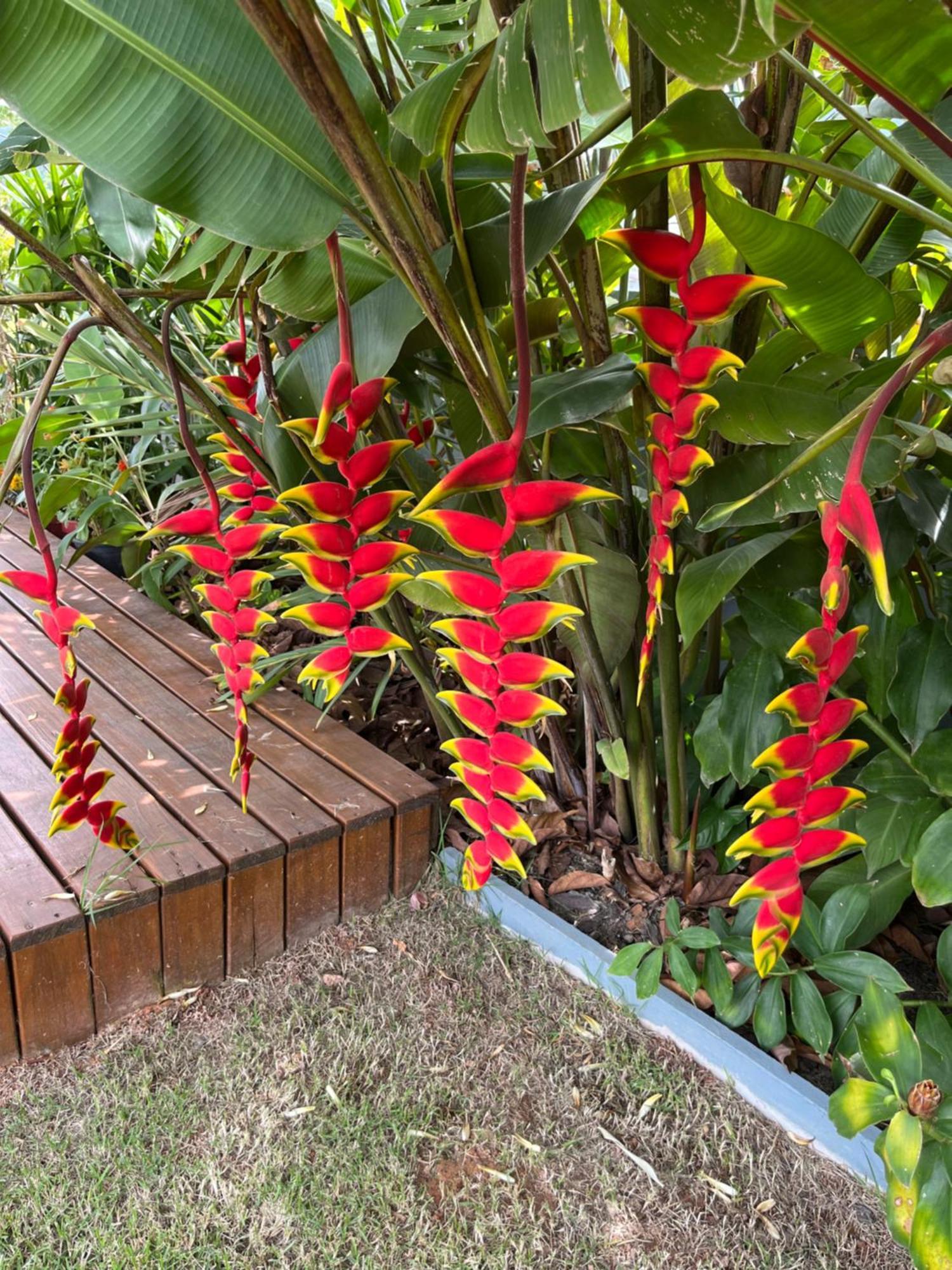 Bella Pousada Pomerode Ngoại thất bức ảnh